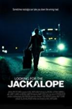 Looking for the Jackalope (2016)