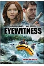 Eyewitness ( 2015 )