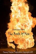 Book of Fire ( 2015 )