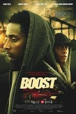 Boost ( 2016 )