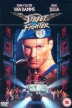 Street Fighter ( 1994 )