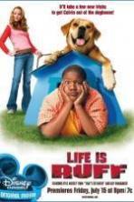 Life Is Ruff ( 2005 )