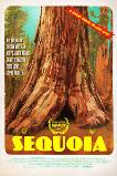 Sequoia (2014)