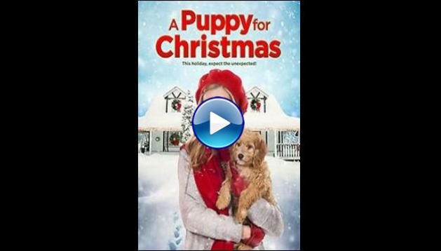 A Puppy for Christmas (2016)