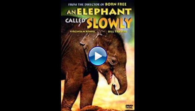 An Elephant Called Slowly 1970