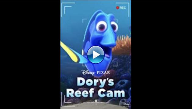 Dory's Reef Cam (2020)