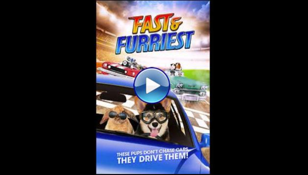 Fast and Furriest (2017)
