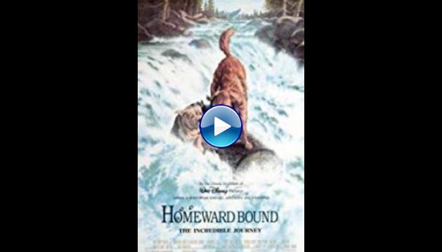 Homeward Bound: The Incredible Journey (1993