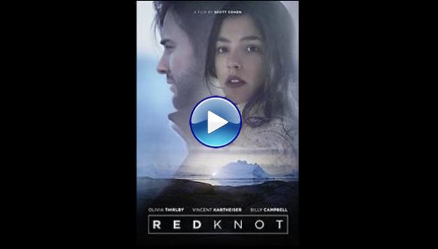Red Knot (2014)