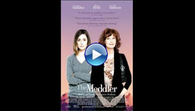 The Meddler (2015)