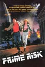 Prime Risk (1985)