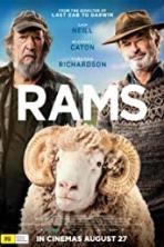 Rams (2020)